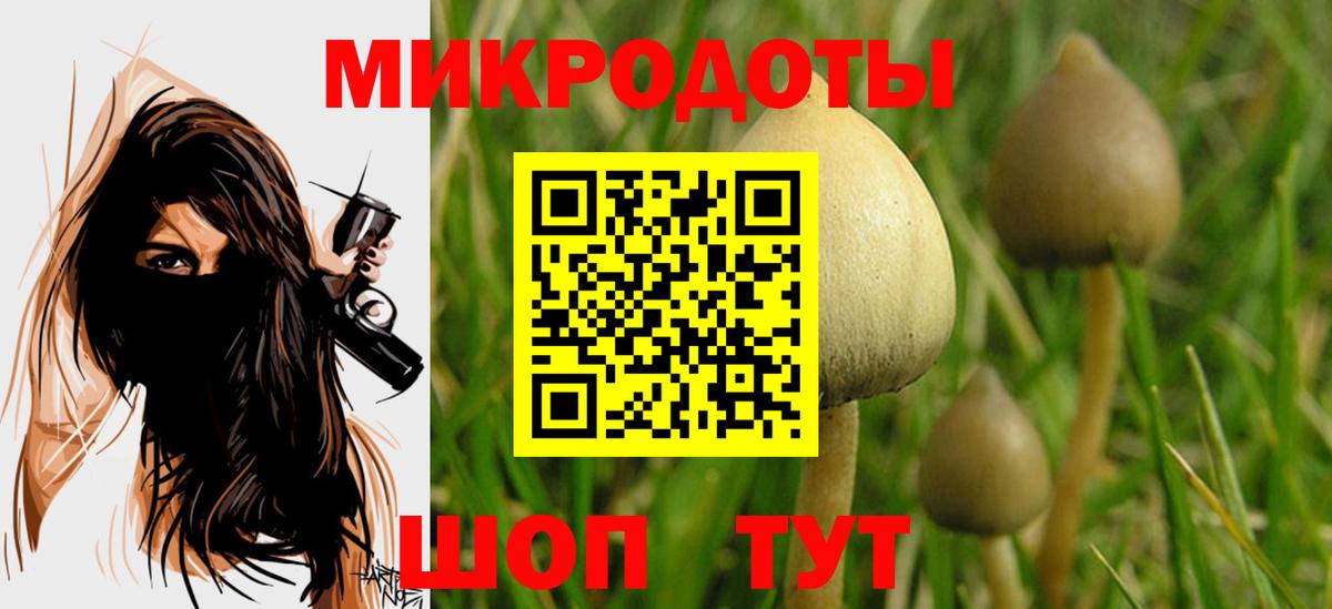 Ярославль  Галлюциногенные грибы MAGIC MUSHROOMS  Вход с VPN 